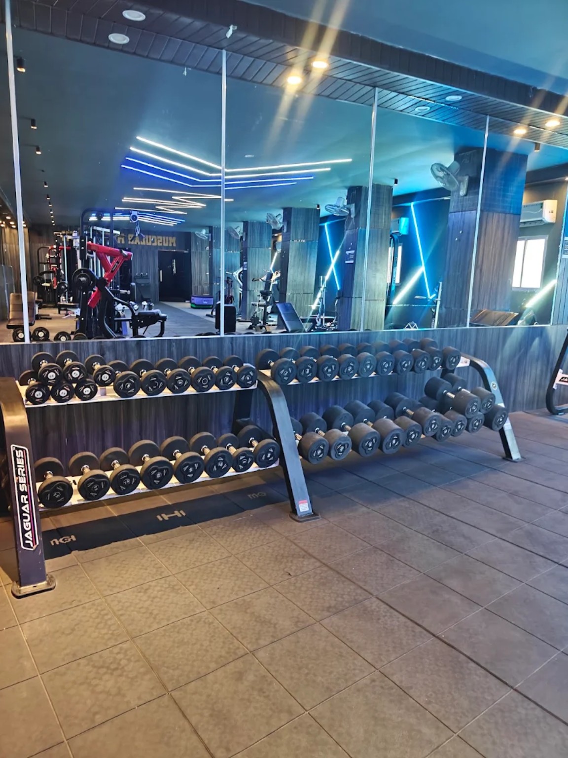 Free weights and dumbbells